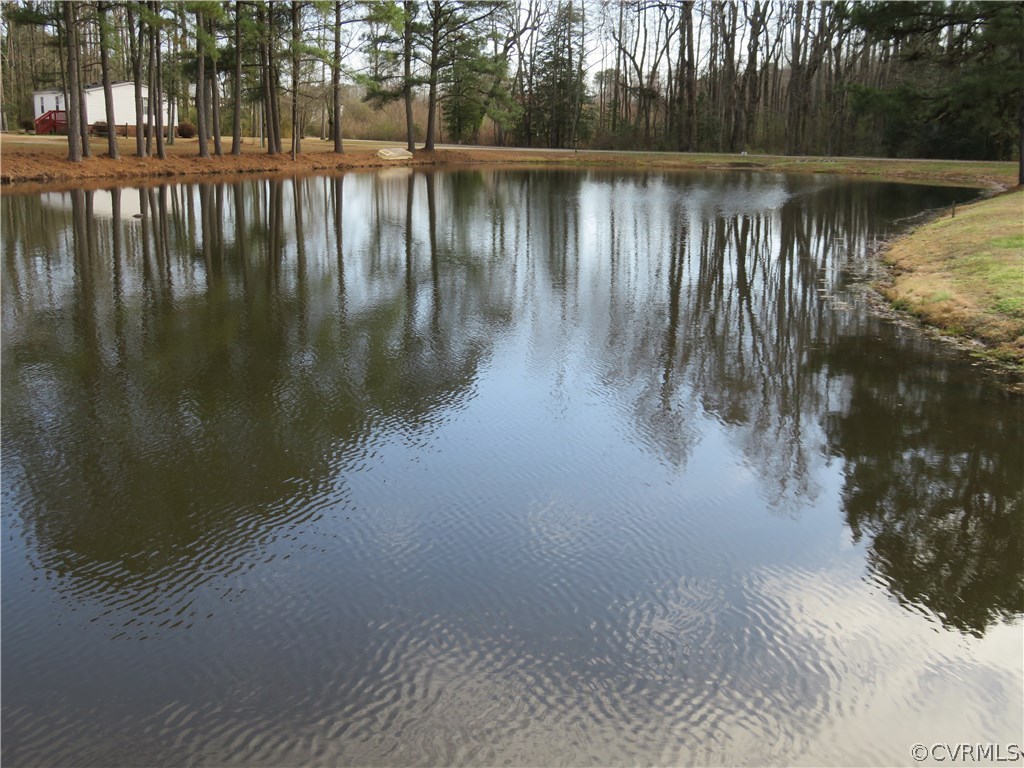 36169 Faison Road Wakefield, VA 23888 - Photo 8 of 45 Gallery Image 8