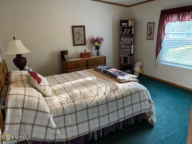 7184 Hunters Ridge Drive Leland, NC 28451 - Photo 11 of 19 Bedroom