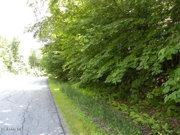 Branch Hill Road Heath, MA 01346 - Photo 3 of 5 a view of a yard with plants and large trees