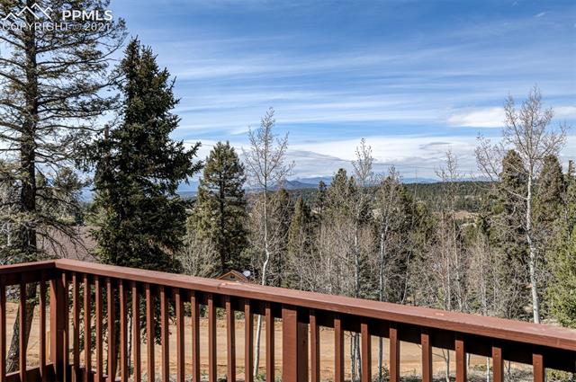 43 Mt Elbert Road Florissant, CO 80816 - Photo 20 of 26 Gallery Image 20