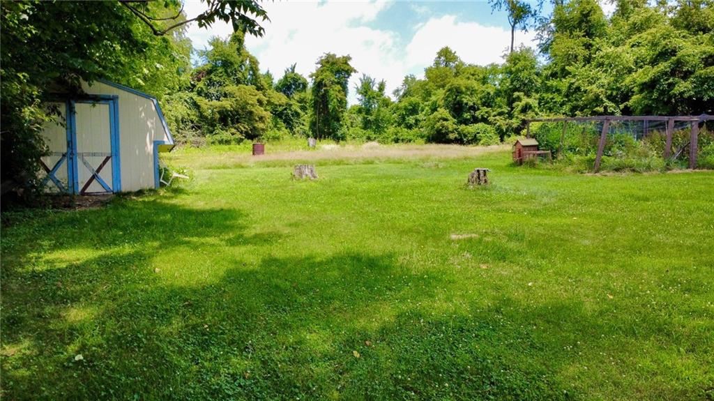 1238 Pinewood Road Irwin, PA 15642 - Photo 11 of 15 Backyard w/ shed