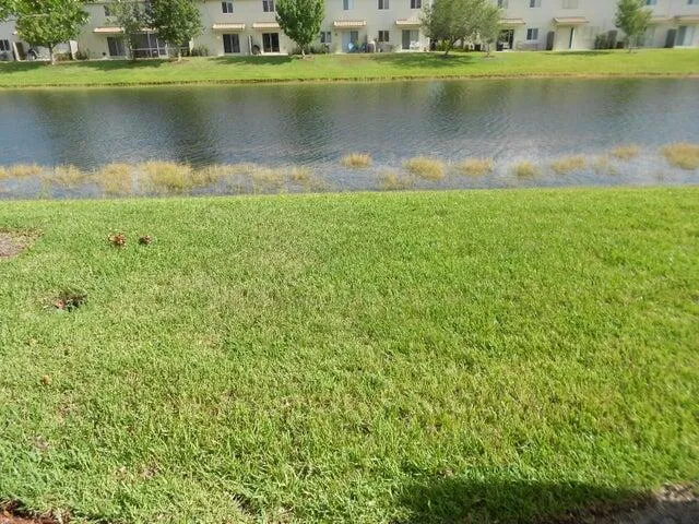 a view of a lake with a house in the background