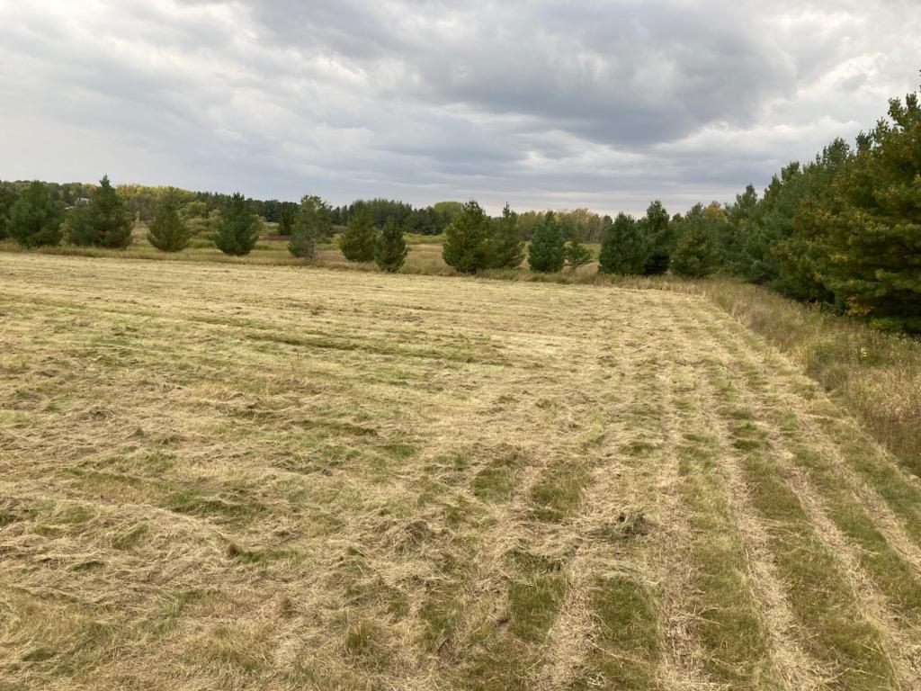 Tbd Hummingbird Road Braham, MN 55006 - Photo 17 of 23