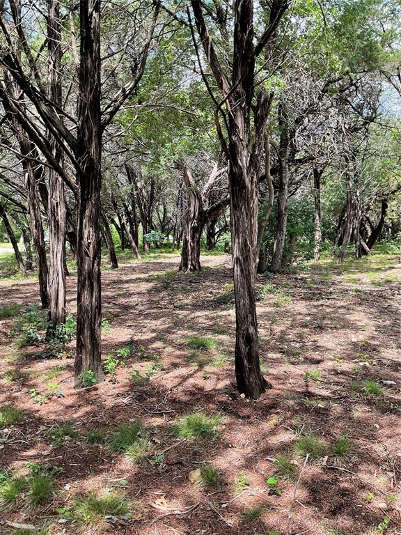 4920 Shining Star Trail Rio Vista, TX 76093 - Photo 38 of 39