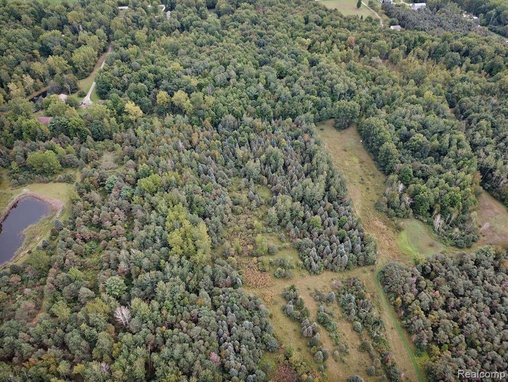 3921 Kile Road Vassar, MI 48768 - Photo 5 of 21 Gallery Image 5