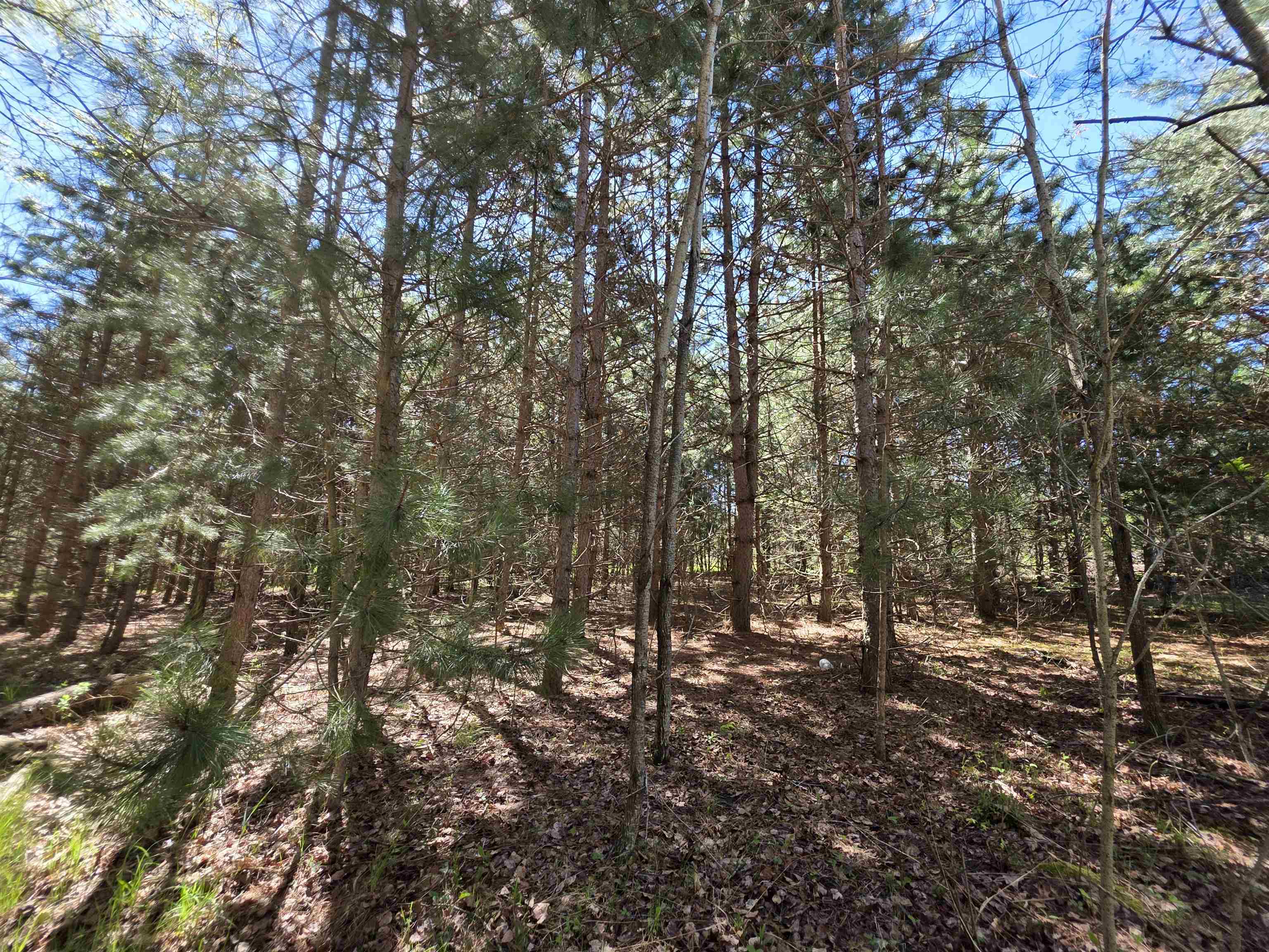 Vl 2-acres Arnold Road Manton, MI 49663 - Photo 13 of 15