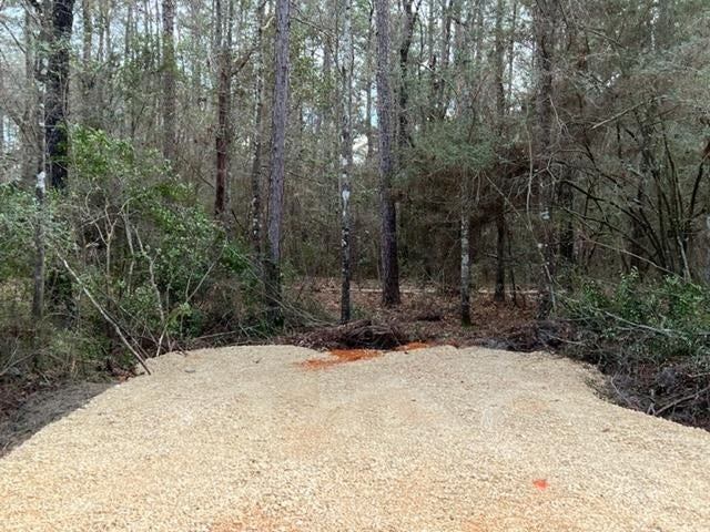 0 Adams Pond Road Opp, AL 36467 - Photo 17 of 19 Gallery Image 17