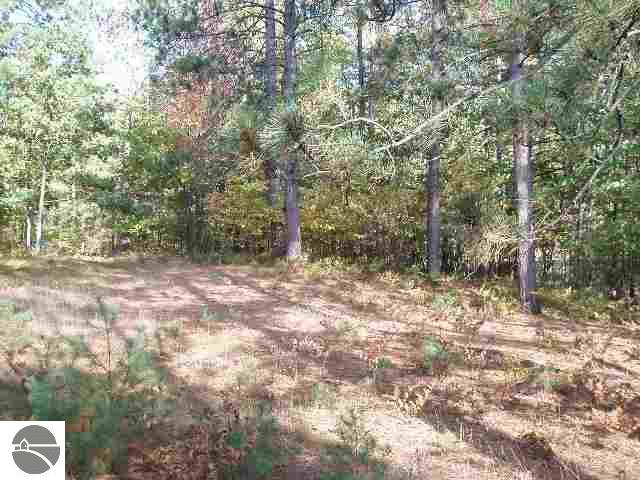 375 Rasho Road Traverse City, MI 49696 - Photo 5 of 8 1776506-4.JPG