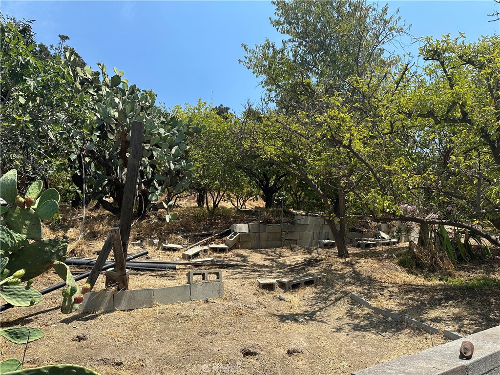 1941 Delta Street Los Angeles, CA 90026 - Photo 4 of 6 a view of a covered with trees