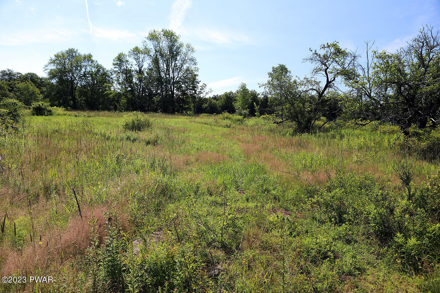 178 Baldwin Hill Road Damascus, PA 18415 - Photo 17 of 38