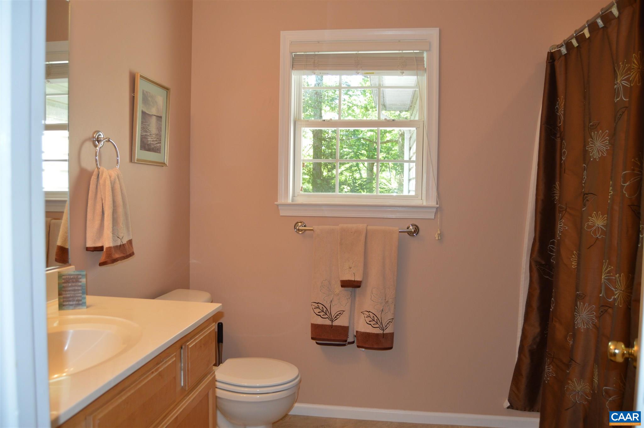 32 Amethyst Road Palmyra, VA 22963 - Photo 22 of 32 Gallery Image 22