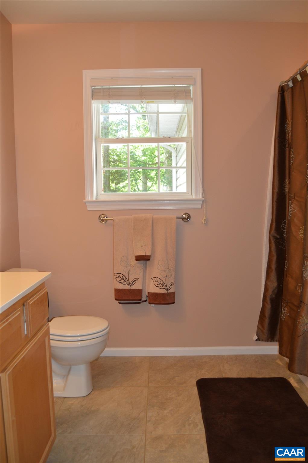 32 Amethyst Road Palmyra, VA 22963 - Photo 23 of 32 Gallery Image 23