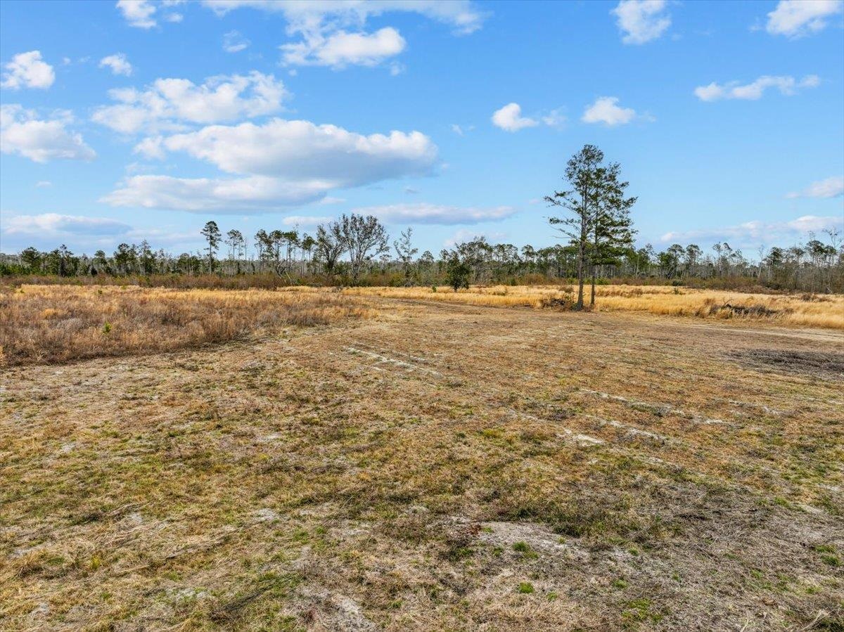 3220 Albert Hendry Road Greenville, FL 32331 - Photo 16 of 22