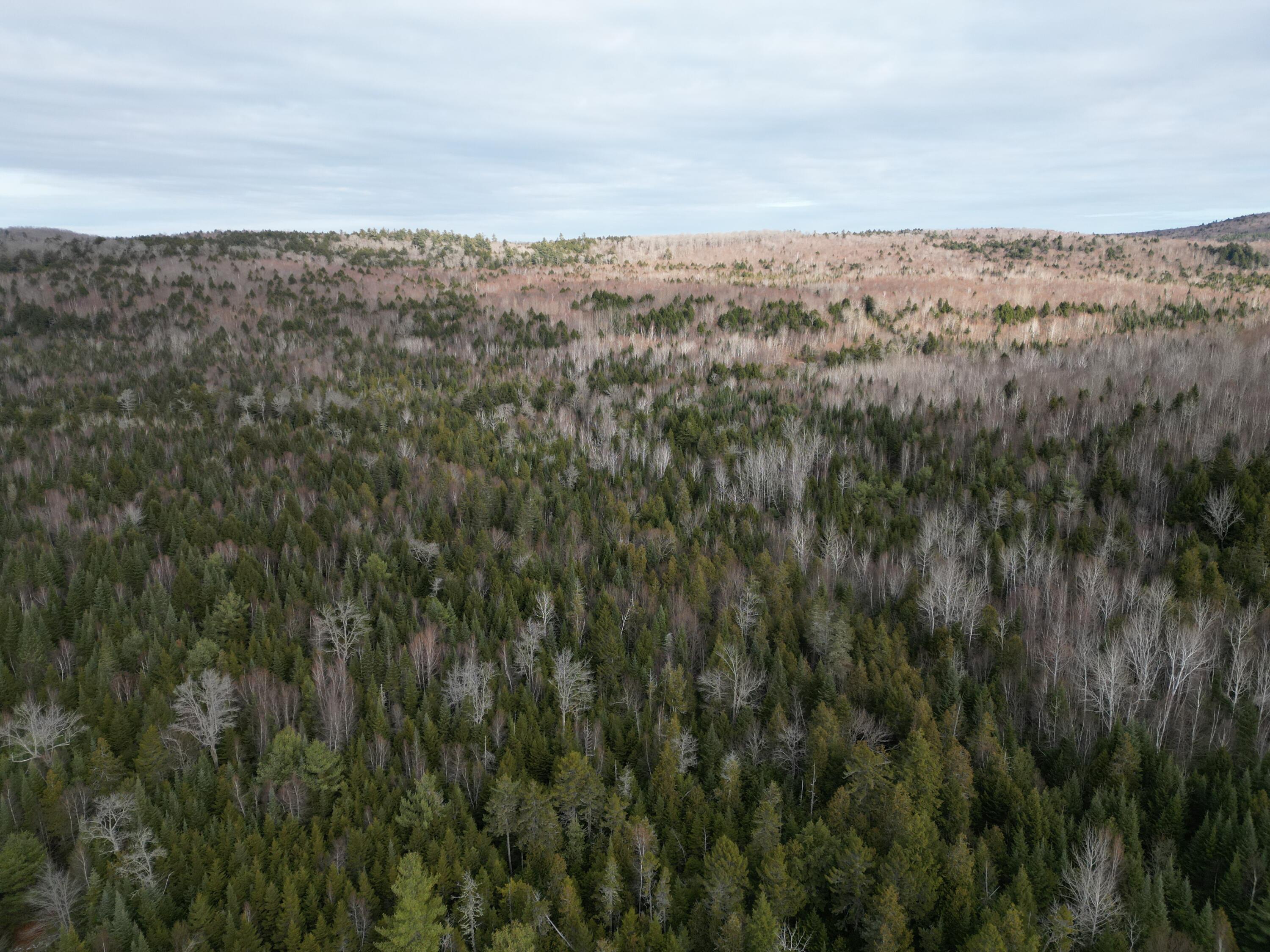 9 Upper Dobsis Road Lakeville, ME 04487 - Photo 14 of 29 DJI_0410