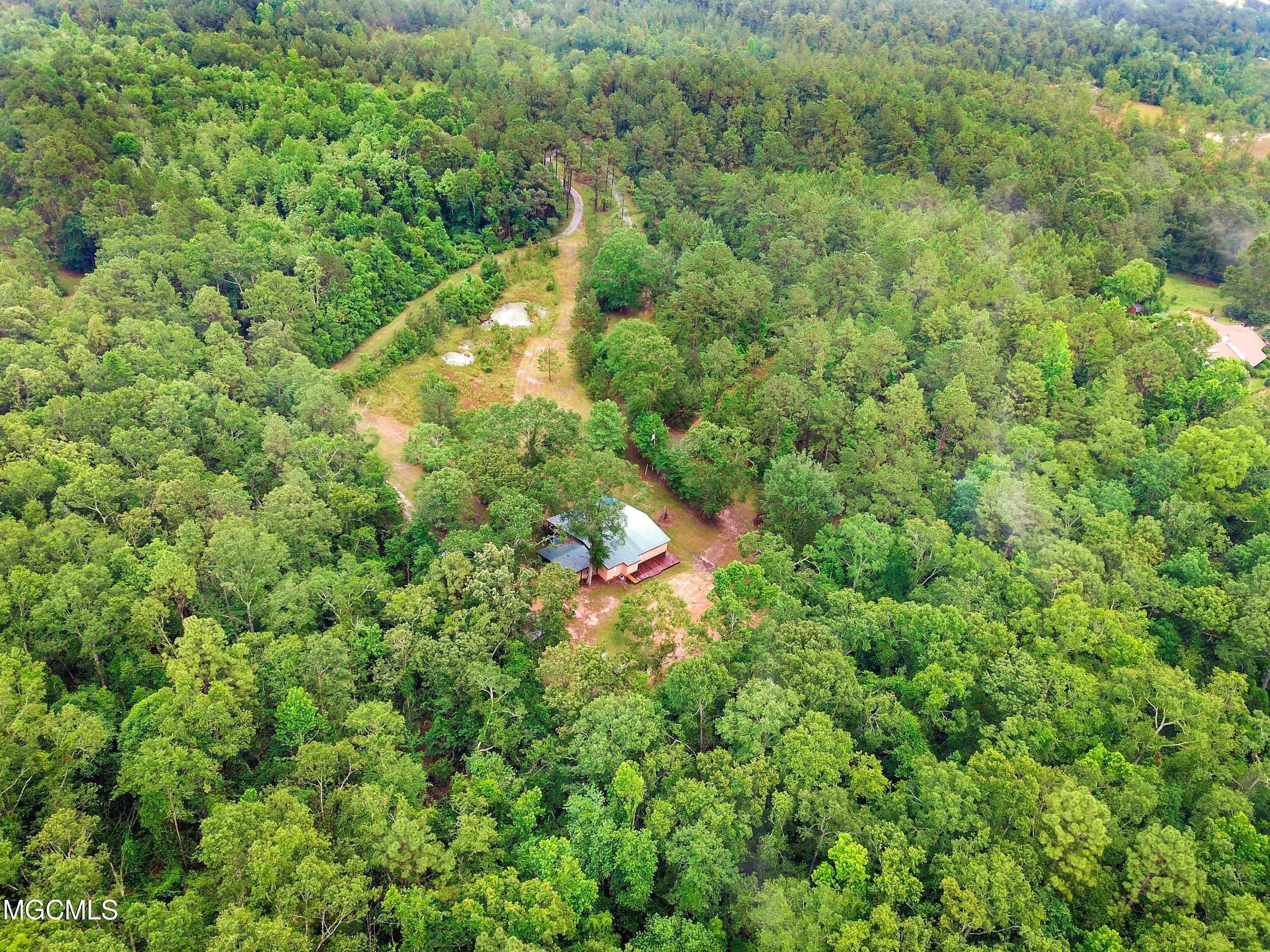 266 Lloyd Eubanks Road Lucedale, MS 39452 - Photo 3 of 23 031