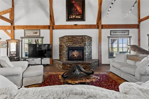 a living room with furniture or couch and a fireplace