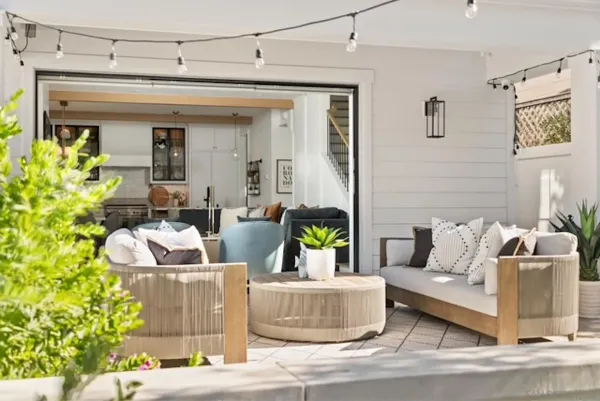 a living room with furniture and a potted plant