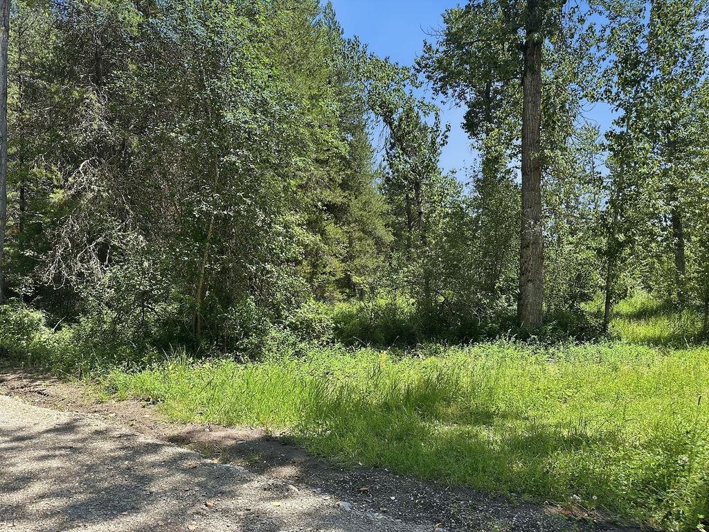 641 Riverbend Loop Road, Unit LOT 1 BLOCK 2 RIVERBEND ESTATES Cusick, WA 99119 - Photo 6 of 21