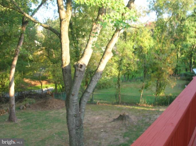 605 Bromley Street Silver Spring, MD 20902 - Photo 22 of 25 Wooded View / Acreage 3