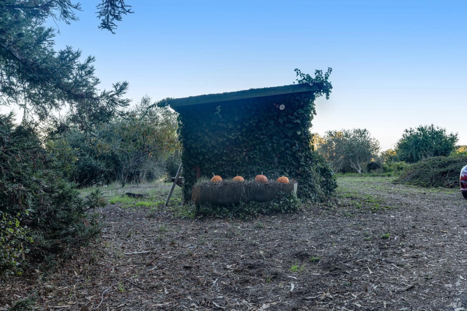 700 Old King Road Petaluma, CA 94952 - Photo 45 of 70