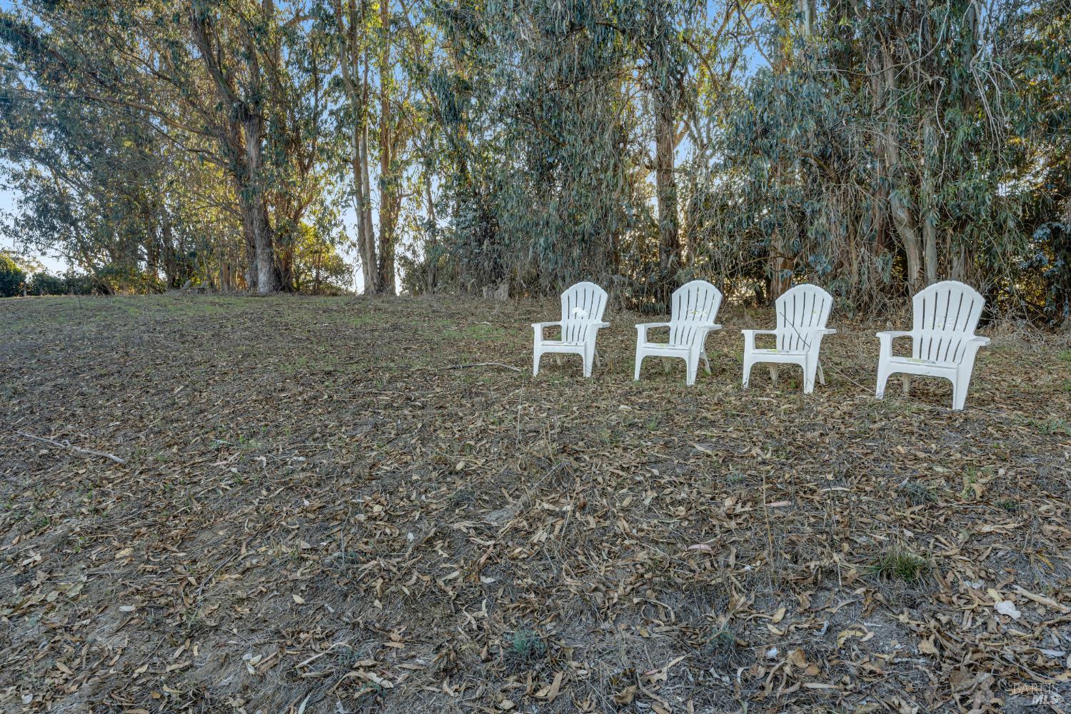 700 Old King Road Petaluma, CA 94952 - Photo 53 of 70