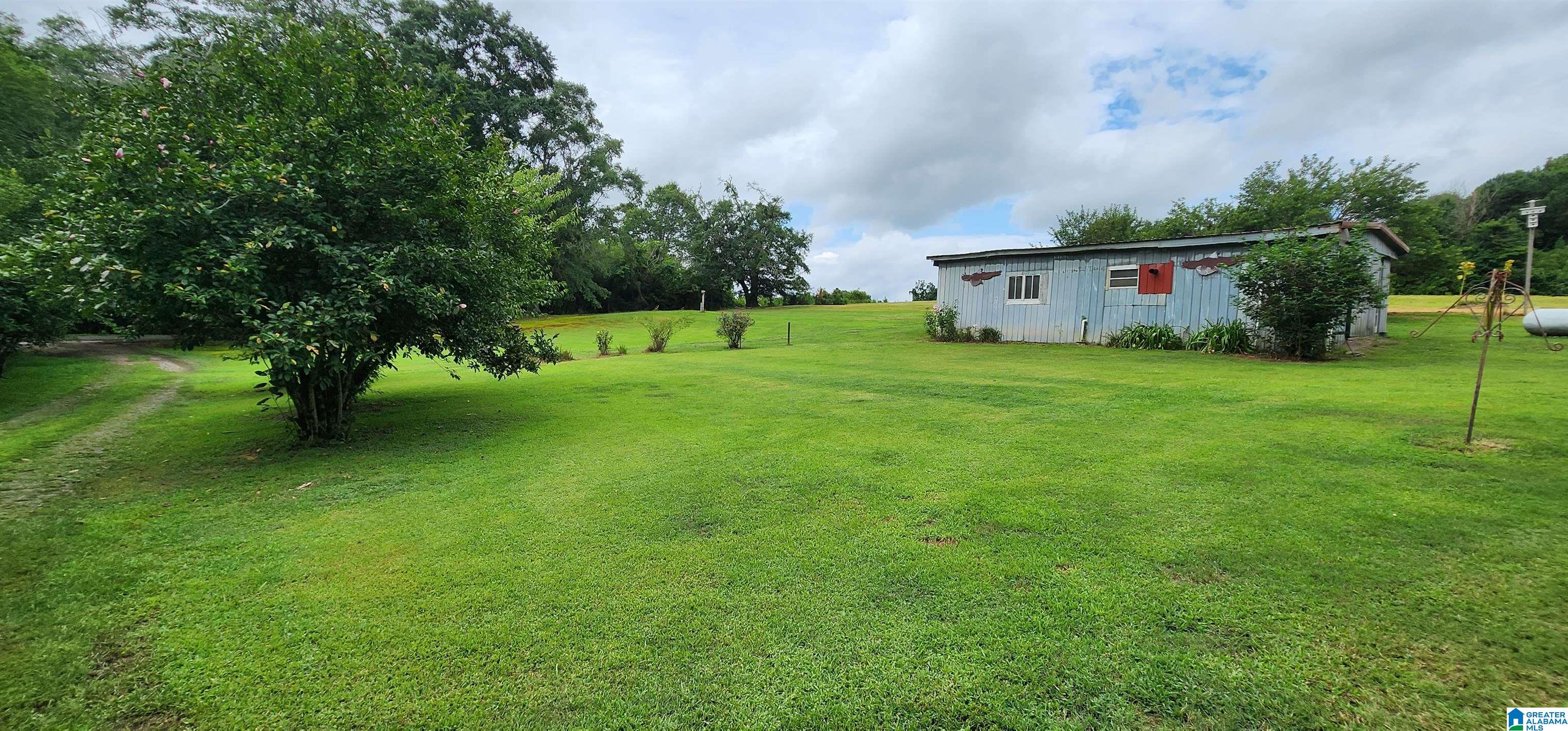 368 Dodd Road Altoona, AL 35952 - Photo 38 of 54