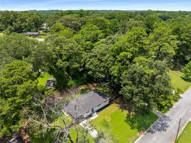 a view of a large tree with a yard