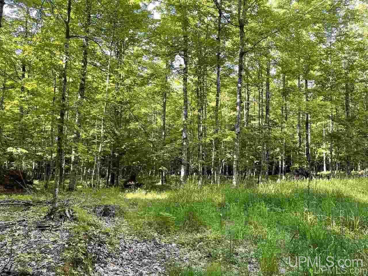 Tbd Tbd Saari Road Lanse, MI 49946 - Photo 9 of 27