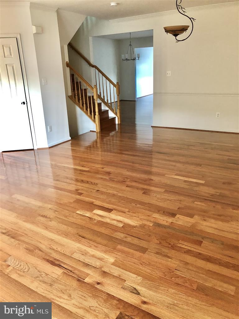 1981 Logan Manor Drive Reston, VA 20190 - Photo 3 of 28