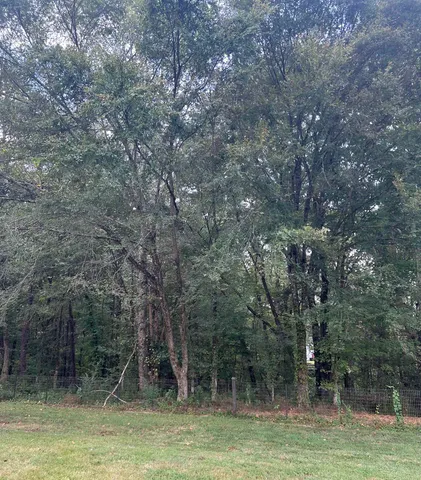 a view of a trees with a lush green forest