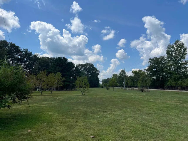 a view of a grassy field