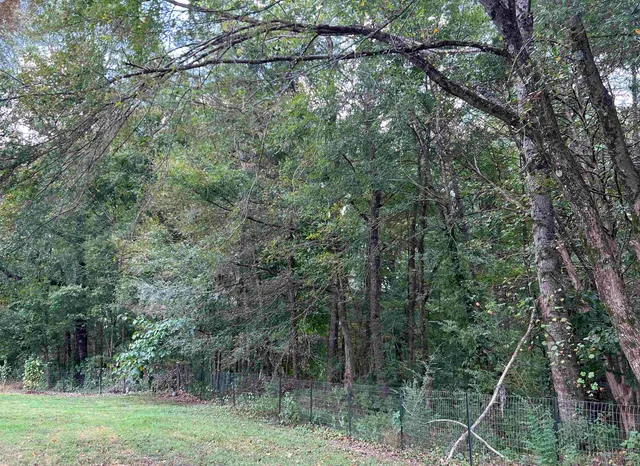a backyard of a house with lots of trees