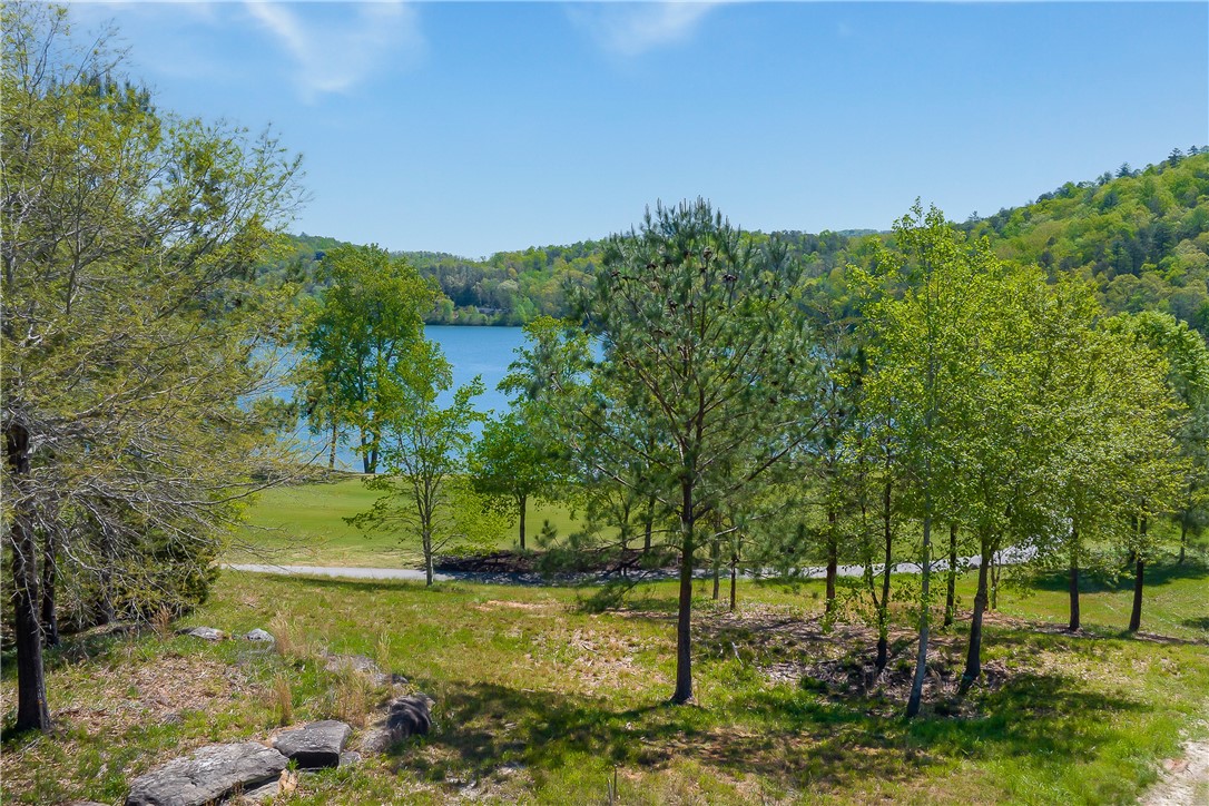 249 Long Cove Court Sunset, SC 29685 - Photo 2 of 21
