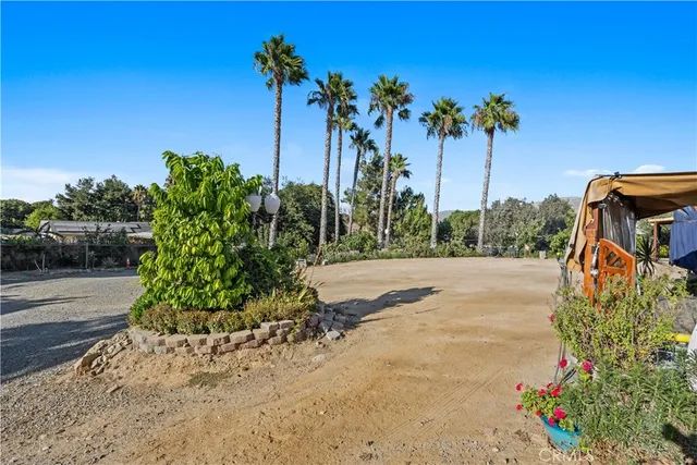 a view of a yard with potted plants
