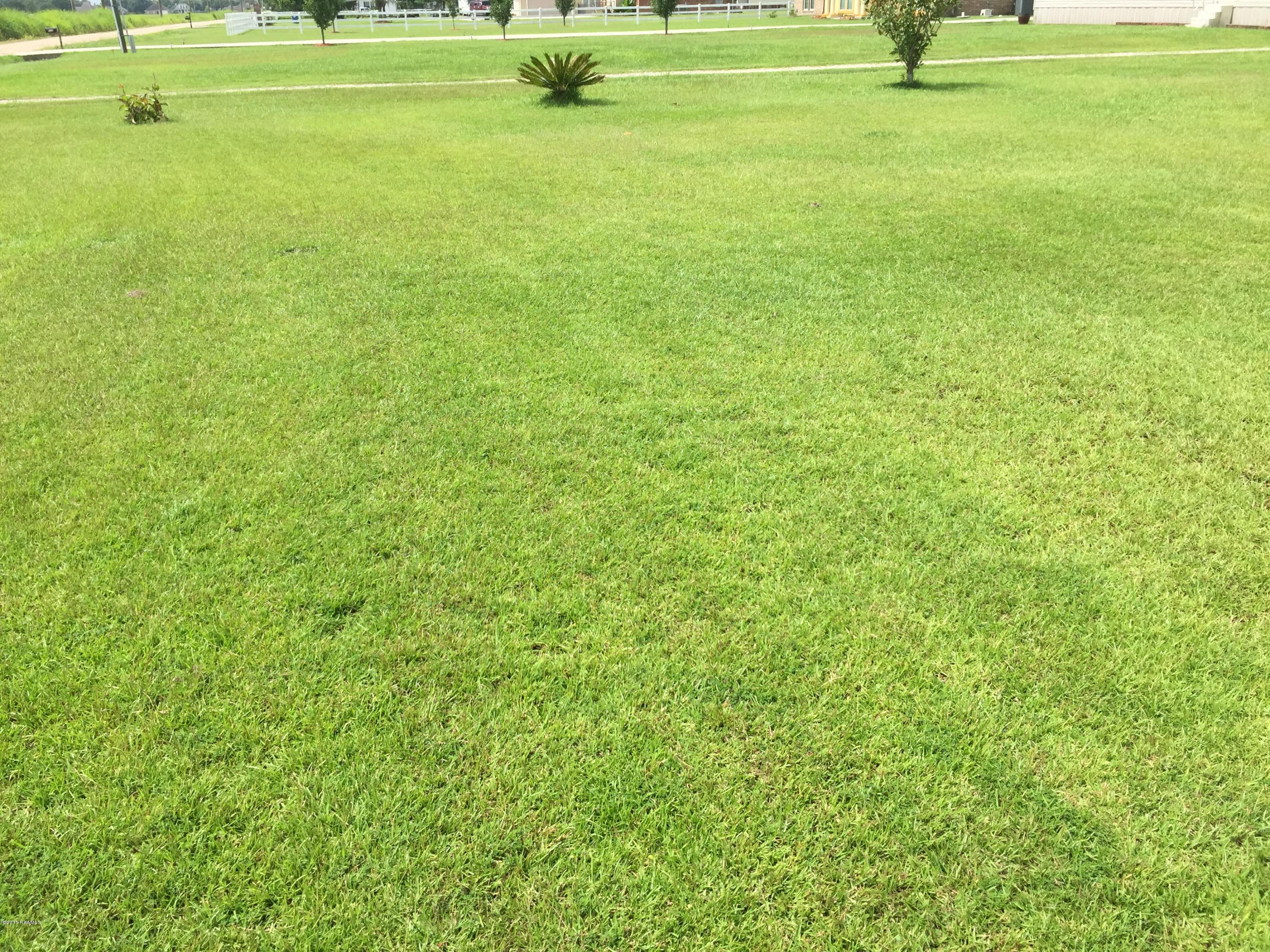 412 Dillon Road Carencro, LA 70520 - Photo 5 of 13 IMG_0718