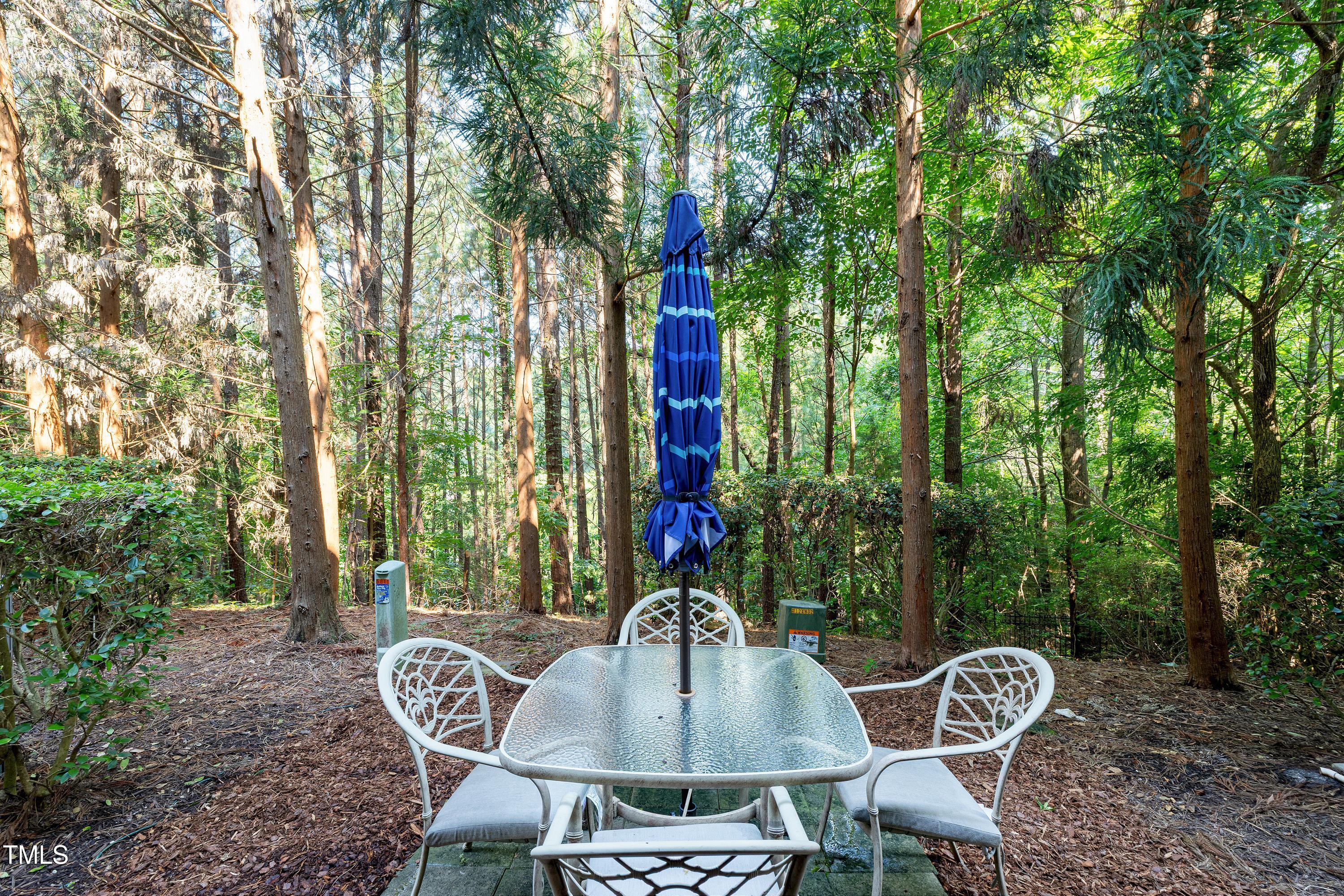 5809 Cameo Glass Way Raleigh, NC 27612 - Photo 35 of 43 Picnic in the woods at home!