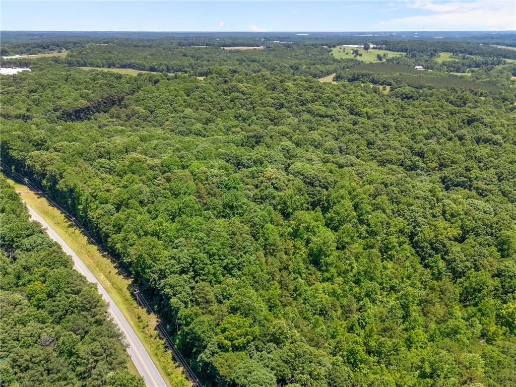 3807 A.L. Mangum Road Talmo, GA 30575 - Photo 57 of 60