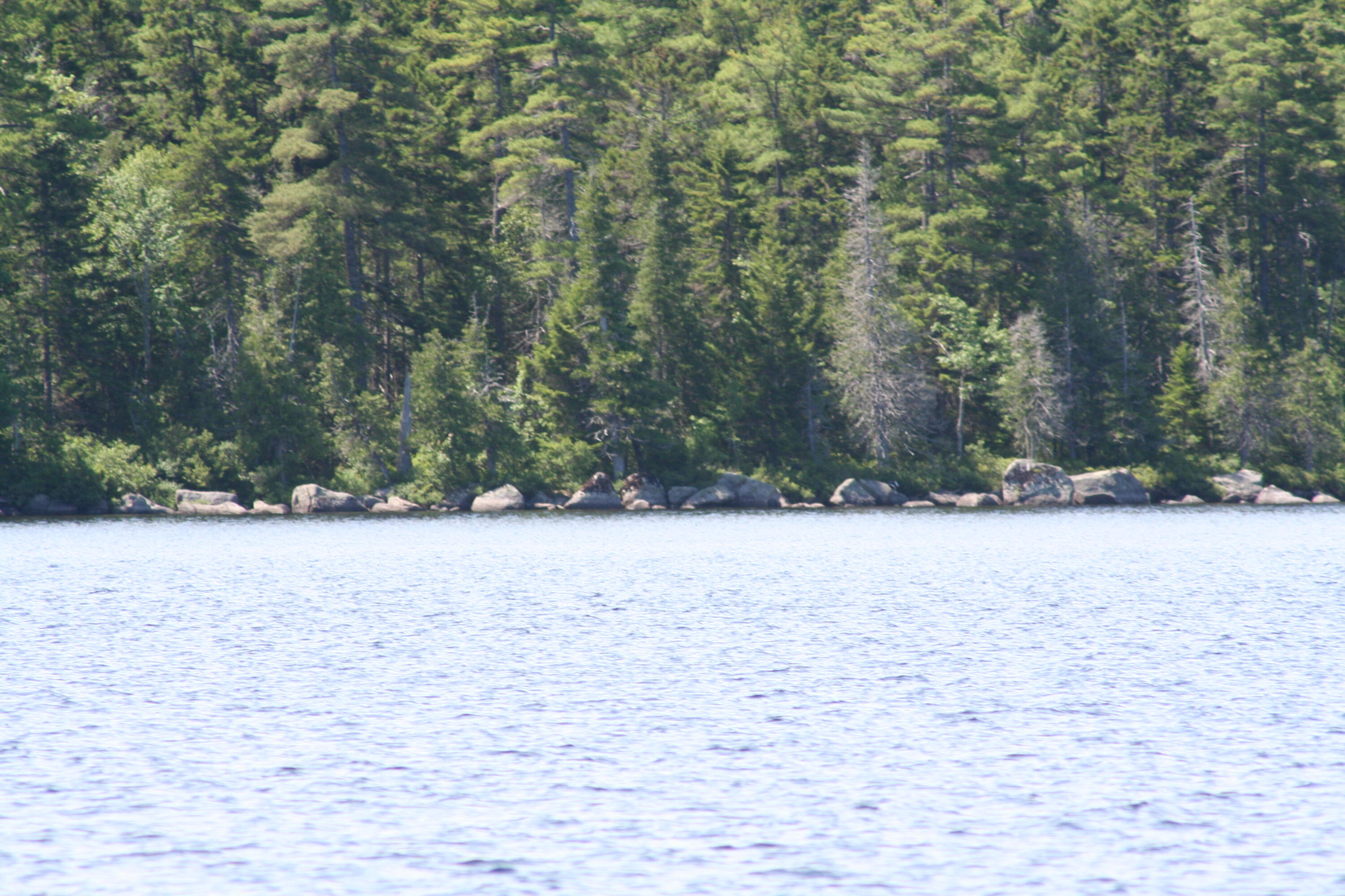 280 Sys Road Lakeville, ME 04487 - Photo 3 of 5 IMG_0589