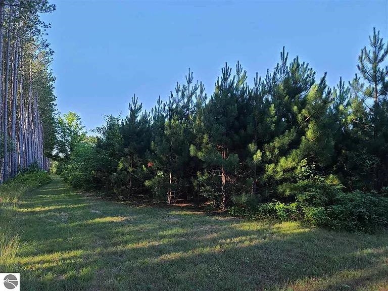 6170 Walton Road Kingsley, MI 49649 - Photo 14 of 15