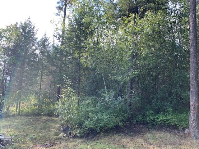 4027 B Hesseltine Road Springdale, WA 99173 - Photo 3 of 16