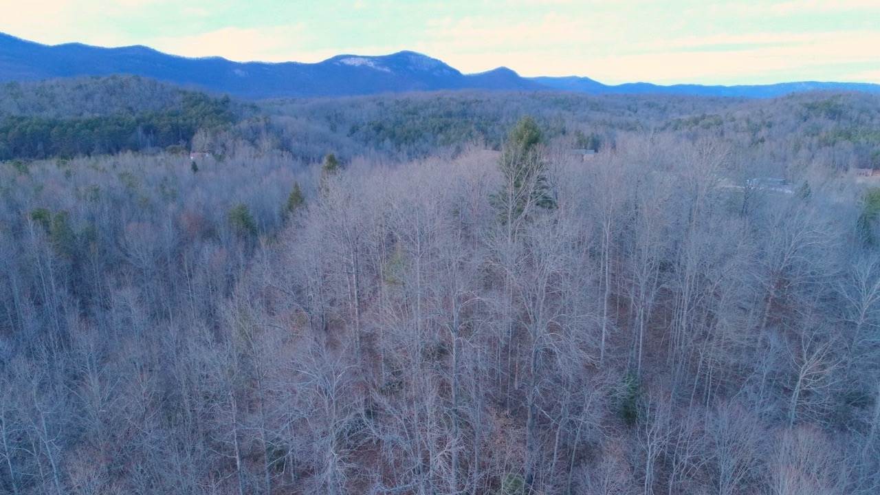 0 Echo Valley Road Pickens, SC 29671 - Photo 12 of 17