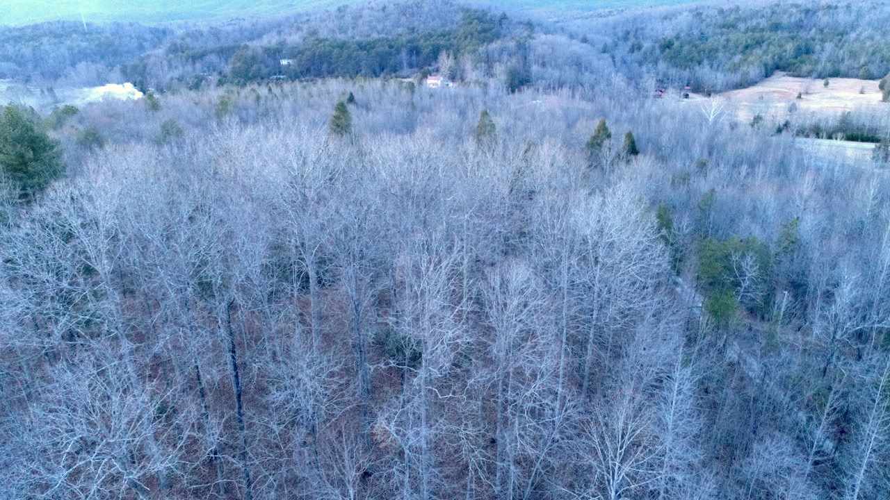 0 Echo Valley Road Pickens, SC 29671 - Photo 14 of 17