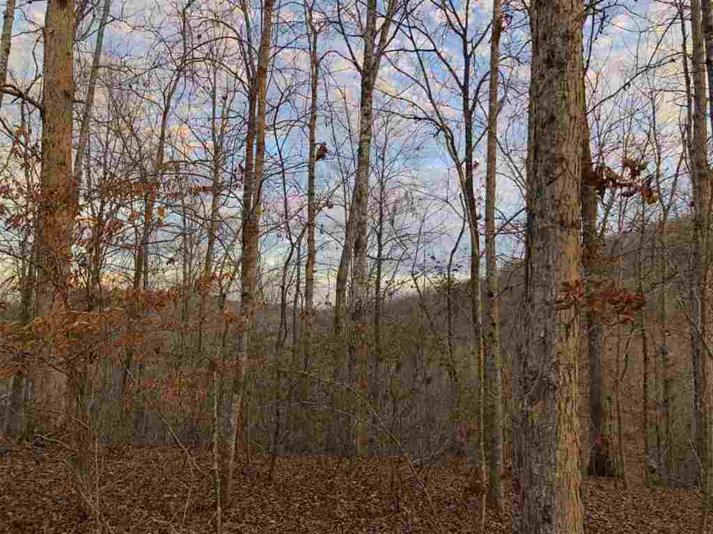 0 Echo Valley Road Pickens, SC 29671 - Photo 2 of 17
