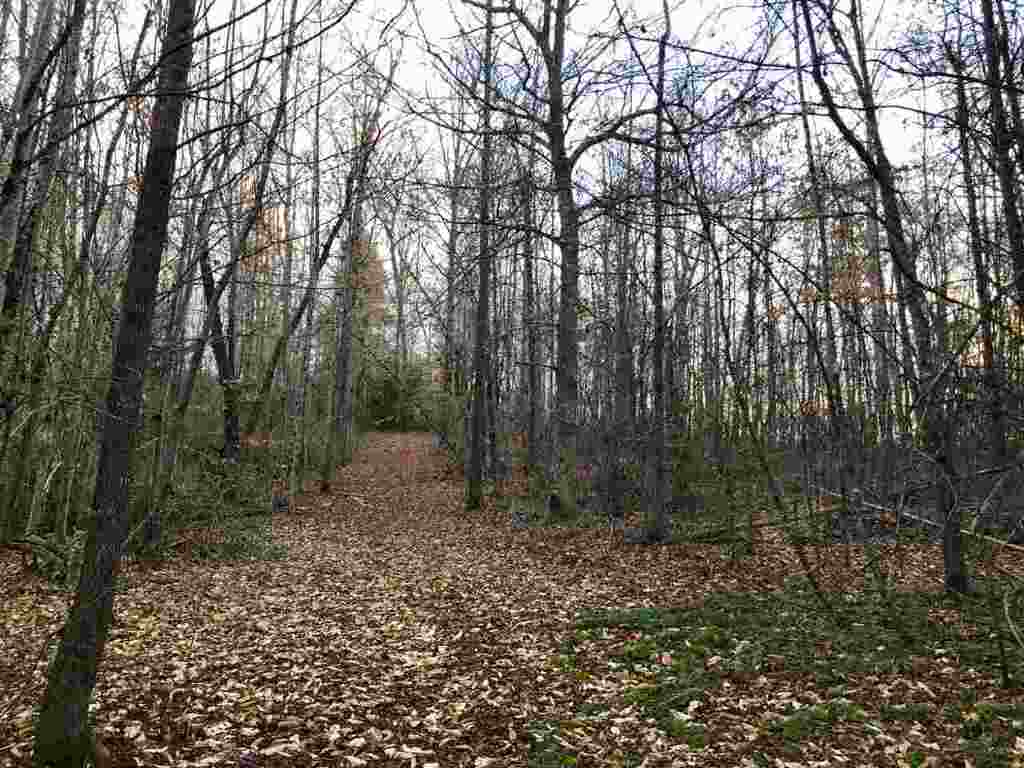 0 Echo Valley Road Pickens, SC 29671 - Photo 3 of 17