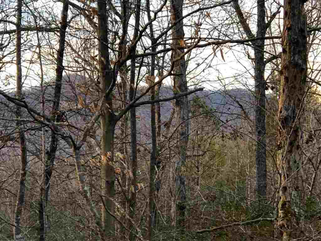 0 Echo Valley Road Pickens, SC 29671 - Photo 6 of 17