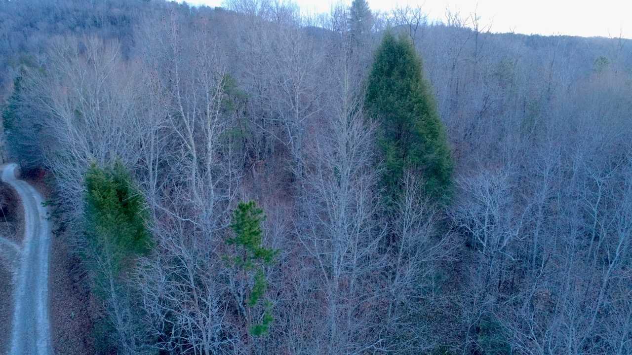 0 Echo Valley Road Pickens, SC 29671 - Photo 7 of 17