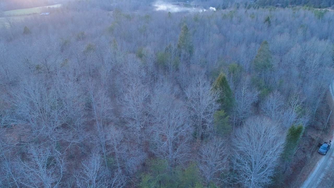 0 Echo Valley Road Pickens, SC 29671 - Photo 8 of 17