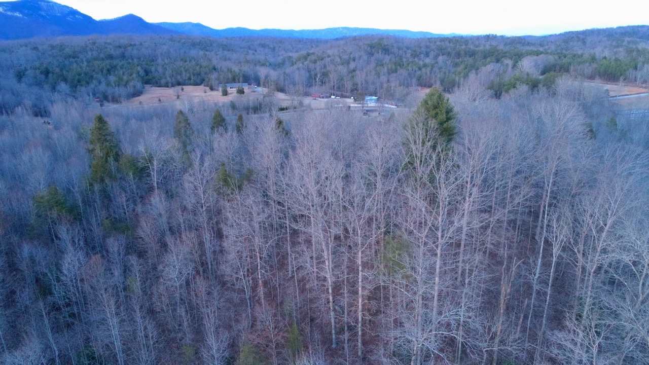0 Echo Valley Road Pickens, SC 29671 - Photo 9 of 17