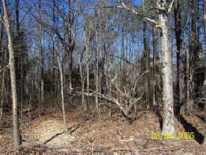 Lot 3 Wills Road Blackstone, VA 23824 - Photo 1 of 1 Gallery Image 1