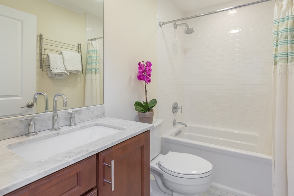 209 West Springfield Street, Unit 2 Boston, MA 02118 - Photo 13 of 16 Gallery Image 13